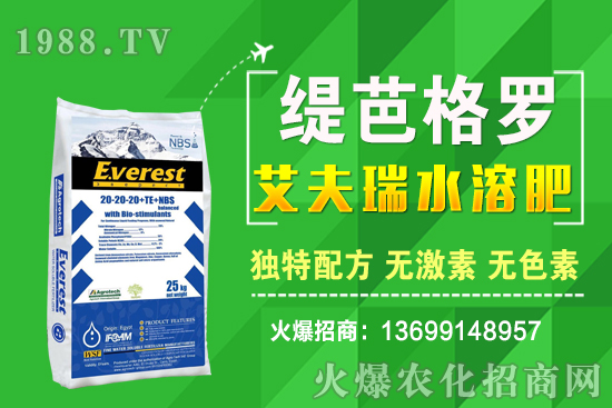 С���r(ji��)��q����ʮ��С�������A(y��)�y(c��)��