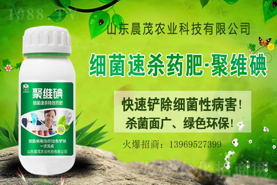 �����p�������r(ji��)��2021.1.15