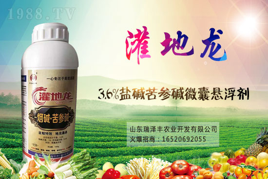 2021��1��19�՚��x��ԭˎ�r(ji��)���߄�