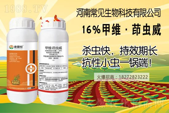 土豆幾月份種合適？（附如種植方法及田間管理）