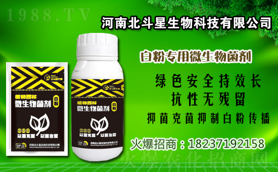    2021年2月12日福美鋅農(nóng)藥價格廠商報價：