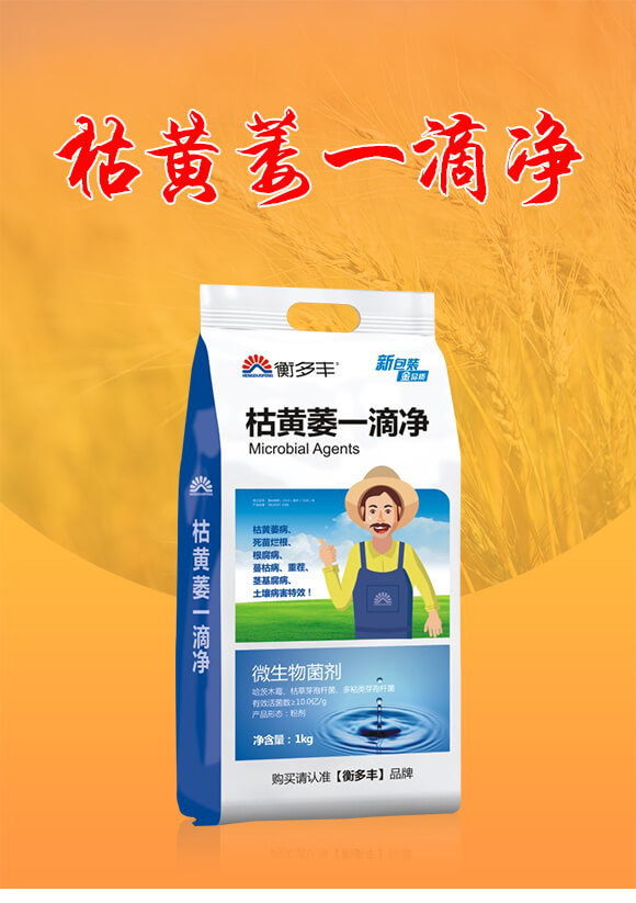 ���Sήһ�΃�-����S_01