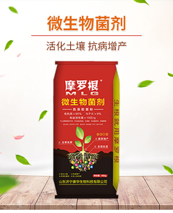 ΢�������-Ħ�_��-���A����_01