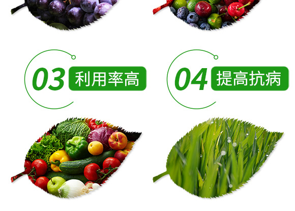 有機(jī)水溶肥料-忠誠鎂-先益農(nóng)_07