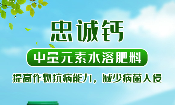 有機(jī)水溶肥料-忠誠鎂-先益農(nóng)_01