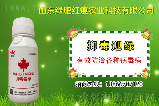 ���β�������Ҳ���ð������ֶ�ӭ�G�����β�������