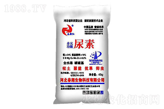 ���؃r���j�q��2021.10.20���؃r������