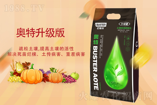 �ͺϷʃr��������ͺϷʃr��10��20��