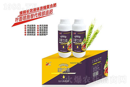 復合肥還要漲多久？10月26日復合肥價格走勢