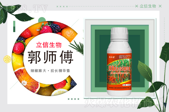 立信生物續(xù)約1988.TV，攜手共創(chuàng)新輝煌！