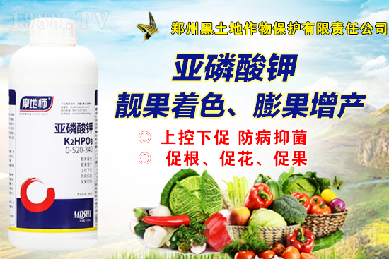 近期磷銨價(jià)格行情快訊（11月5日）