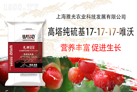 復(fù)合肥出廠報價，11月8日復(fù)合肥價格行情