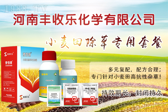 С�������ӳ��ݸ���ԓ��ô�x�ó��݄���