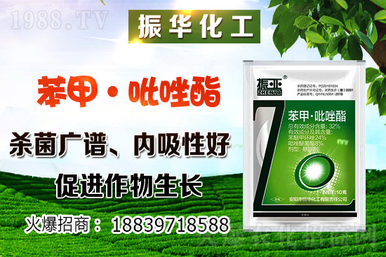 柴胡該怎么種植？柴胡種植方法及環(huán)境要求！