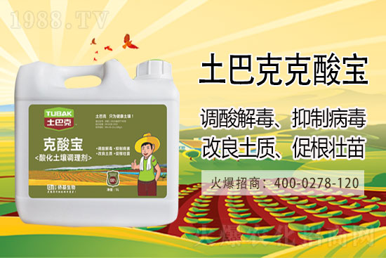 ���մ󶹃r(ji��)���Ј�(ch��ng)�����(b��o)�r(ji��)2021��3��10��