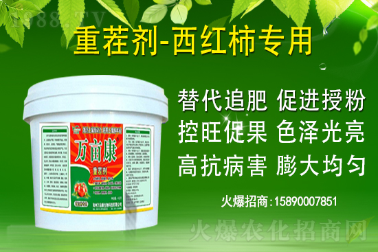 ��ʲô������ҽ��h�������@�}�������h��������