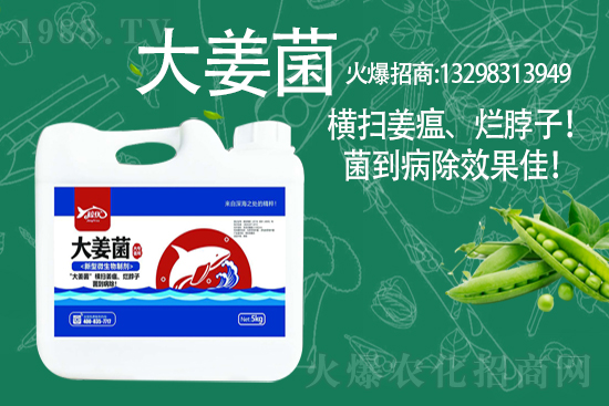 2021��3��10��ȫ��С���r(ji��)�񼰷���