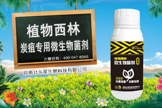 ��ͪ˪���蚢�����r��2021.3.22