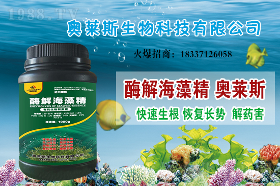 �󶹃r��߀���ϝq�������մ󶹃r������