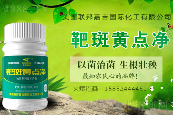 2021������һ���^(q��)�R������a(ch��n)���g(sh��)��Ҋ