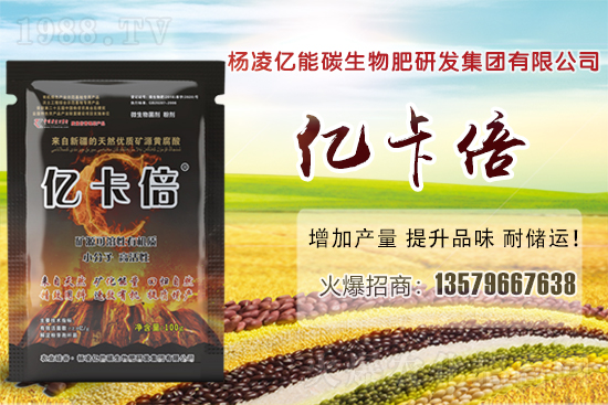 ���}�ۮa(ch��n)�����҇�(gu��)��Щʡ�������}������Щ��Ҋ(ji��n)Ʒ�N��