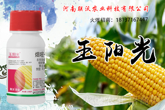 ���׳��ݞ�ʲô�x��������������݄���δ�