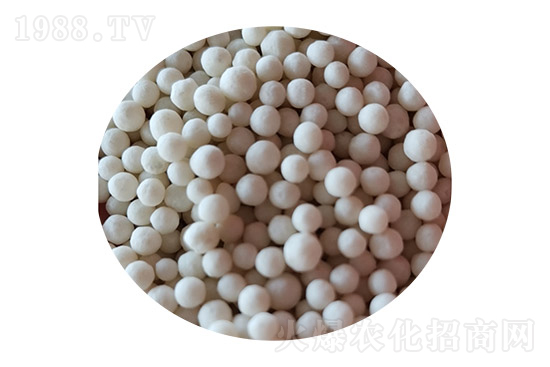 ���ʃr(ji��)��