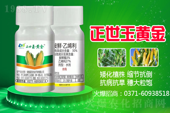 ���׃r(ji��)��