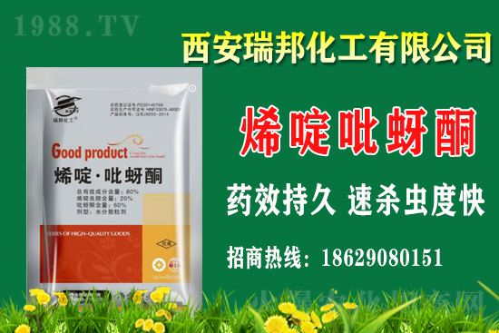 2021.4.25���x���r���߄�