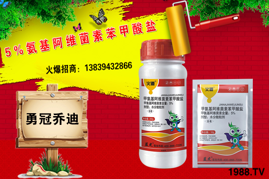 合作升級，勇冠喬迪（藍虎）再簽1988.TV，共創(chuàng)新輝煌！