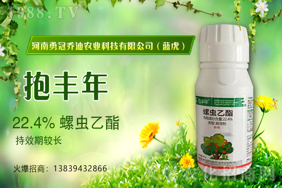 合作升級，勇冠喬迪（藍虎）再簽1988.TV，共創(chuàng)新輝煌！