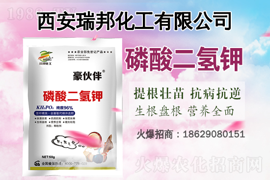 2021年6月19日國內(nèi)鉀肥價(jià)格行情快訊