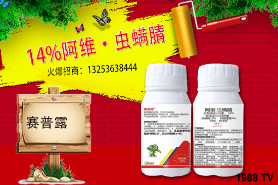 ِ��¶����𱬁��u���ٺ����r(n��ng)�����̾W(w��ng)�_��(chu��ng)���x�ͣ�