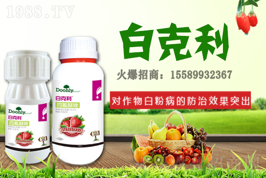 ��(gu��)�|���m(x��)�s1988.TV����(zh��n)�Ժ����P(gu��n)ϵ�������_(t��i)�A��