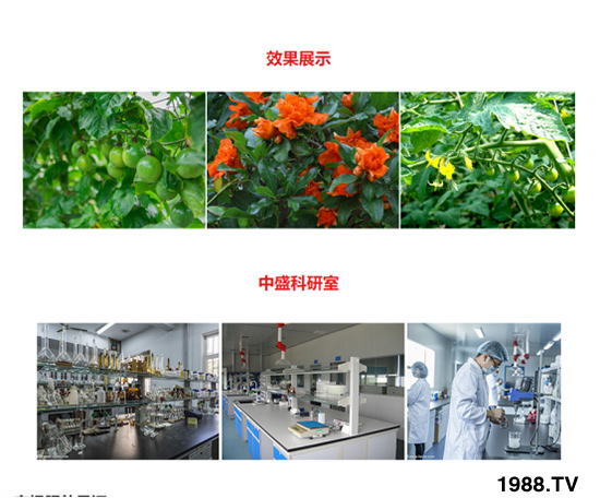 ƽ�����L�ͺ���ֲ��ˮ�ܷ� ��ؾ��A �r������4