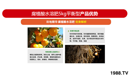 ƽ�����L�ͺ���ֲ��ˮ�ܷ� ��ؾ��A �r������3