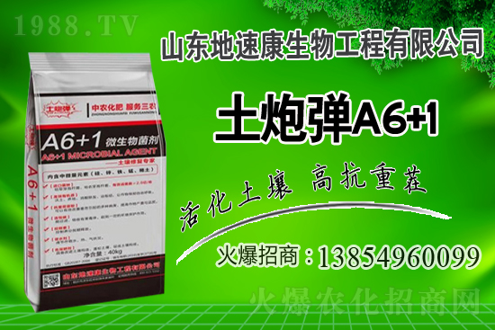    合作關系再升華，山東地速康與1988.TV開啟新篇章！