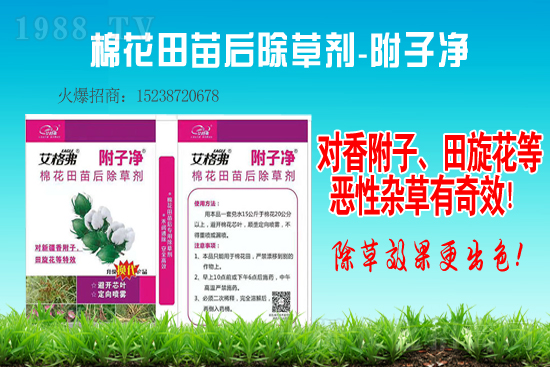 草甘膦強(qiáng)勢(shì)運(yùn)行，2021年7月10日草甘膦價(jià)格走勢(shì)