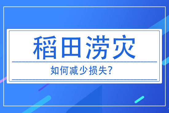 稻田澇災發(fā)生后，如何減少損失？