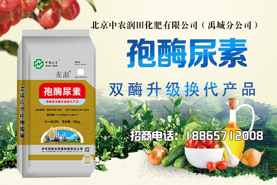 災(zāi)后花生田及時(shí)排水散墑，科學(xué)管理做好病蟲(chóng)害防治