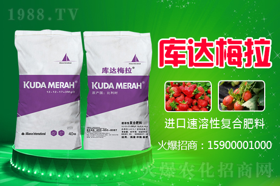 �ͺϷ��ǵ�߀�ǝq�����ڏͺϷʃr�������߄ݣ�7��27�գ�