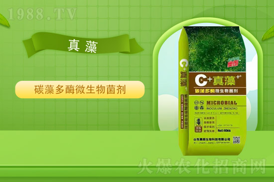 2021年8月19日甘蔗除草劑價格早報