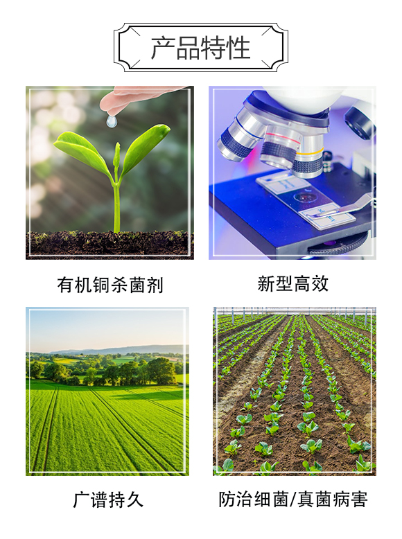 開(kāi)封奧瑞奇生物科技有限公司3_04