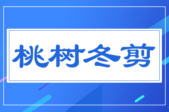 �Ҙ�(sh��)����