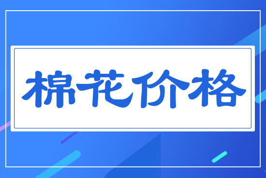�޻��r��