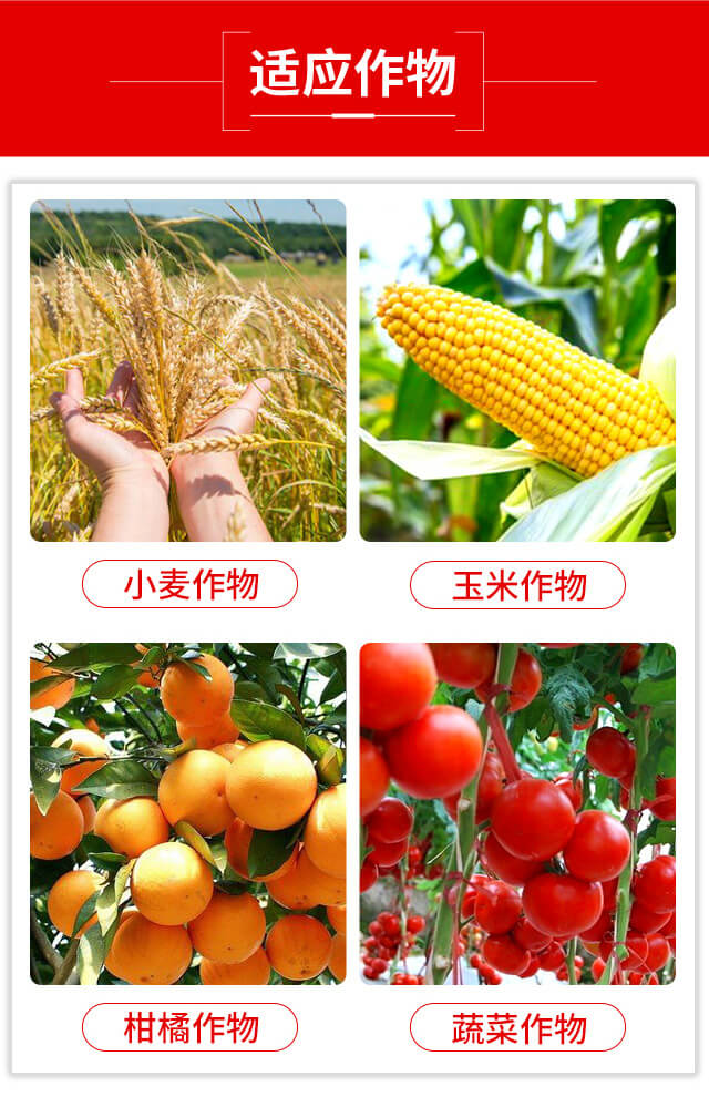 噻蟲(chóng)·高氯氟-藍(lán)虎品牌_03