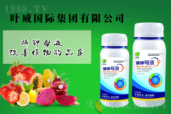 2022.3.12國內鉀肥價格行情快訊