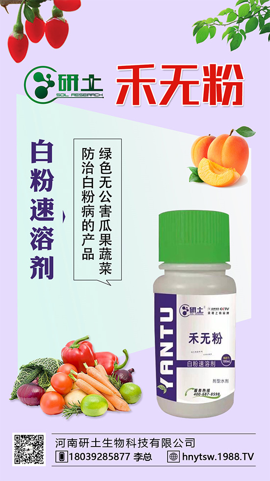 ���Ѱ׷۲��������l(f��)���������ֱ�׷۲���