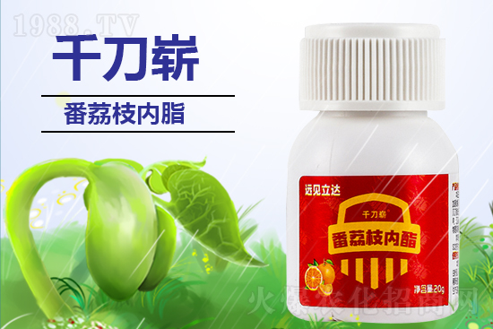 2022��4��1�ջ����������r(ji��)���߄�