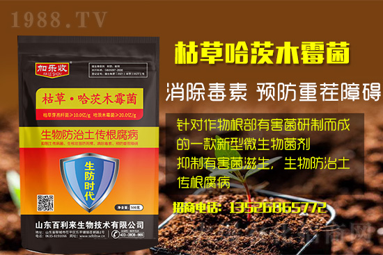根腐病爆發(fā)怎么防治，根腐病用什么藥好防治效果好？